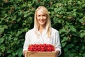 Young woman with freckles stands near the raspberry bushes holding a box full of berries