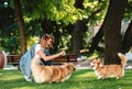 Portrait of woman with dogs Welsh Corgi Pembroke in dog park