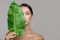 Portrait of a woman and green leaves. Organic beauty. Gray Background Copycpase