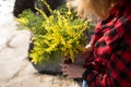 Portrait of a woman holding a bouquet of mimosa flowers. Royalty Free Stock Photo