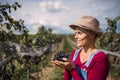 Portrait of woman holding grapes in vineyard in autumn, harvest concept. Royalty Free Stock Photo