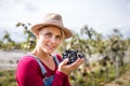 Portrait of woman holding grapes in vineyard in autumn, harvest concept. Royalty Free Stock Photo