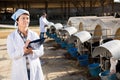 Portrait of woman quality expert at the cow farm