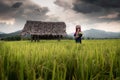 Portrait of Woman Tribal Lisu in Traditional Clothing and Jewelry Costume in Rice Fields., Lifestyle of Hill Tribe Girl in The