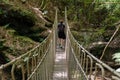 Portrait of a woman at a wooden suspension bridge over a small creek valley in the woods Royalty Free Stock Photo