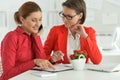 Portrait of women architects working in modern office Royalty Free Stock Photo