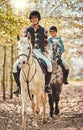 Portrait, women and horses in a forest, happiness and woods with animal care, stallion and countryside. Adventure, pets