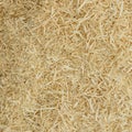 Full frame shot of wooden sawdust and shavings Royalty Free Stock Photo