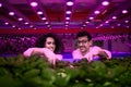 Workers on aquaponic farm, sustainable business and artificial lighting.