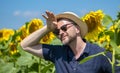 Portrait of a 35-40 year old man wearing a Straw hat and sunglasses on a sunflower field, wiping sweat from his forehead.  Concept Royalty Free Stock Photo