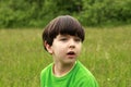 Portrait of 5 years boy in nature Royalty Free Stock Photo