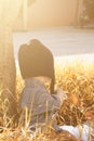 Portrait of 2-3 years old child in autumn garden Royalty Free Stock Photo