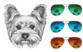 Portrait of Yorkshire Terrier Dog with mirror sunglasses.