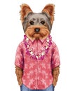 Portrait of Yorkshire Terrier in summer shirt with Hawaiian Lei.