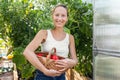 Portrait of young adult beautiful female farmer sitting against greenhouse harvesting fresh ripe red tomatoes in wicker Royalty Free Stock Photo