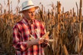 Young farmer standing in corn field, examining the crop before harvest at sunset. Royalty Free Stock Photo
