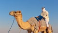 Portrait of a young Arab with a camel in the desert