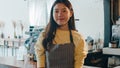 Portrait young Asian woman barista feeling happy smiling at urban cafe. Small business owner Korean girl in apron relax toothy Royalty Free Stock Photo