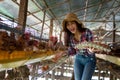 Portrait of young asian woman farmer collect fresh eggs in hands in Eggs chicken farm Royalty Free Stock Photo