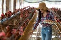 Portrait of young asian woman farmer collect fresh eggs in hands in Eggs chicken farm Royalty Free Stock Photo