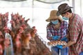 Portrait of young asian woman farmer collect fresh eggs in hands in Eggs chicken farm Royalty Free Stock Photo