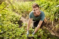 Portrait of young attractive bearded hispanic male gardener in blue t-shirt smiling in camera, working n garden, picking