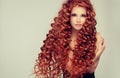 Portrait of young, attractive young model with incredible dense, long, curly red hair.Frizzy hair. Royalty Free Stock Photo