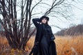 Portrait of young attractive woman in black coat and hat. Autumn landscape, dry grass