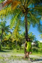 Portrait of young beautiful asian girl standing close to a palm tree Royalty Free Stock Photo