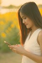 Young beautiful Asian woman using mobile phone against field of blooming sunflowers Royalty Free Stock Photo