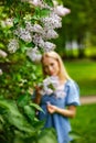 Portrait of a young beautiful blonde posing among blooming lilacs. The girl enjoys the fragrance of flowers, holds in her hands in Royalty Free Stock Photo