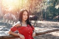 Portrait of Young beautiful brunette woman in red dress posing leaning on a wooden fence. Horses and trees in the background Royalty Free Stock Photo