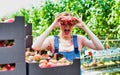 Young beautiful farmer playing tomatoes in greenhouse