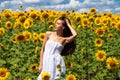 Portrait of a young beautiful girl in a field of sunflowers Royalty Free Stock Photo