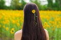 Portrait of a young beautiful girl in a field of sunflowers Royalty Free Stock Photo
