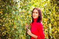 Portrait of a young beautiful girl in the Park among the branches of a birch with yellow-green leaves in autumn Royalty Free Stock Photo