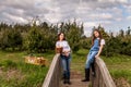 portrait of a young beautiful girl and women posing on the old wood bridge in green autumn farm Royalty Free Stock Photo