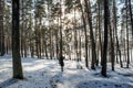 Portrait of a young beautiful red hair european girl in dark winter forest