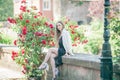 Portrait of a young beautiful slim long-haired woman in a romantic black and white dress near a red blooming rose in the center of Royalty Free Stock Photo