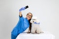 Portrait of young beautiful woman, female veterinary, vet doctor and sweet cute white poodle dog  over white Royalty Free Stock Photo