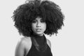 Portrait of a young black woman with great afro hair looking at camera Royalty Free Stock Photo