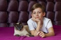 Portrait of a young blonde boy with his cat. Lovelly cat . Friends Toghever to play Royalty Free Stock Photo