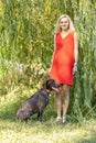 Portrait of a young blonde woman in the foliage of a weeping willow with a hunting dog of the Kurz-Haar breed. summer time