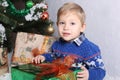 Portrait of a young boy behind the child a Christmas tree. Royalty Free Stock Photo