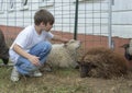 Portrait of a young boy outside at a petting zoo Royalty Free Stock Photo