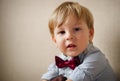 Portrait of Young Boy Wearing Bow Tie Royalty Free Stock Photo