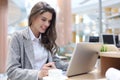 Portrait of a young brunette business woman using laptop at office Royalty Free Stock Photo