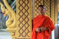 Portrait of a young Buddhist monk Royalty Free Stock Photo