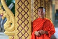 Portrait of a young Buddhist monk, Laos Royalty Free Stock Photo