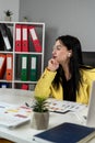 Portrait of young caucaasian woman work at business documents, computer at office